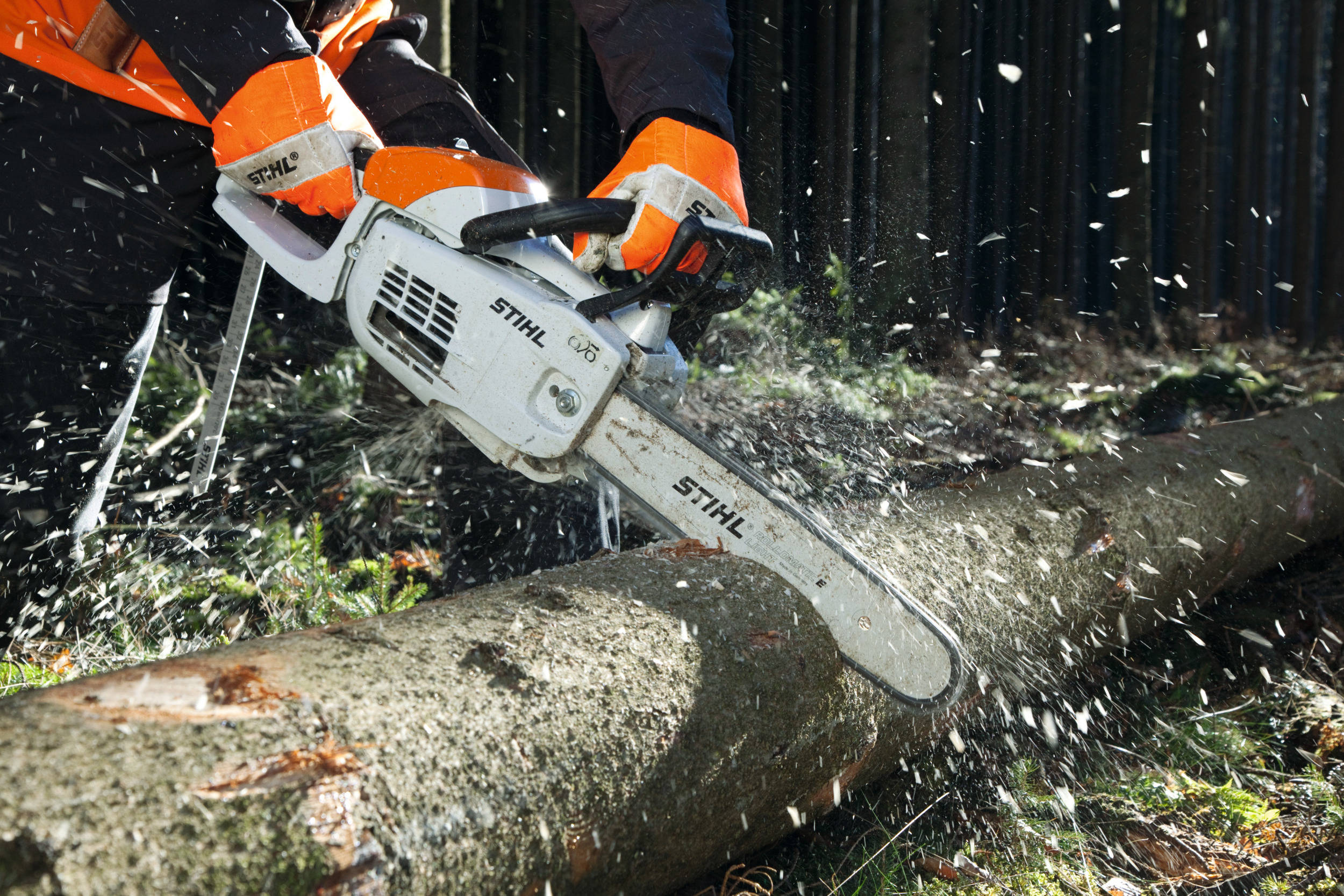 Jak bezpiecznie ścinać i usuwać drzewa z ogrodu?