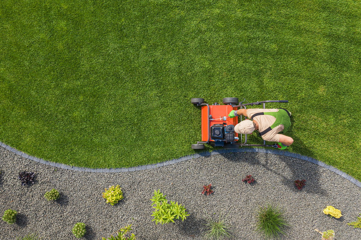 aeracja trawnika - kiedy ją wykonywać?