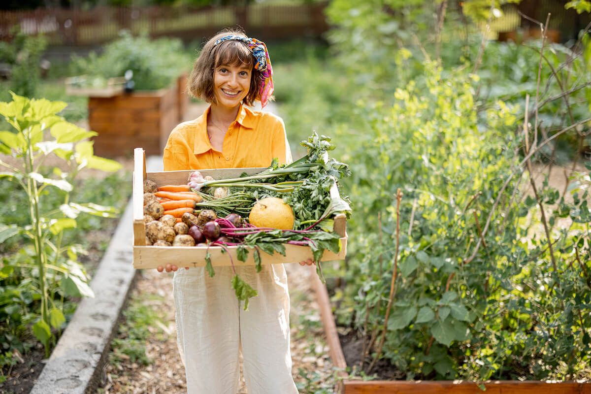 Jak przygotować podłoże pod ogródek warzywny?