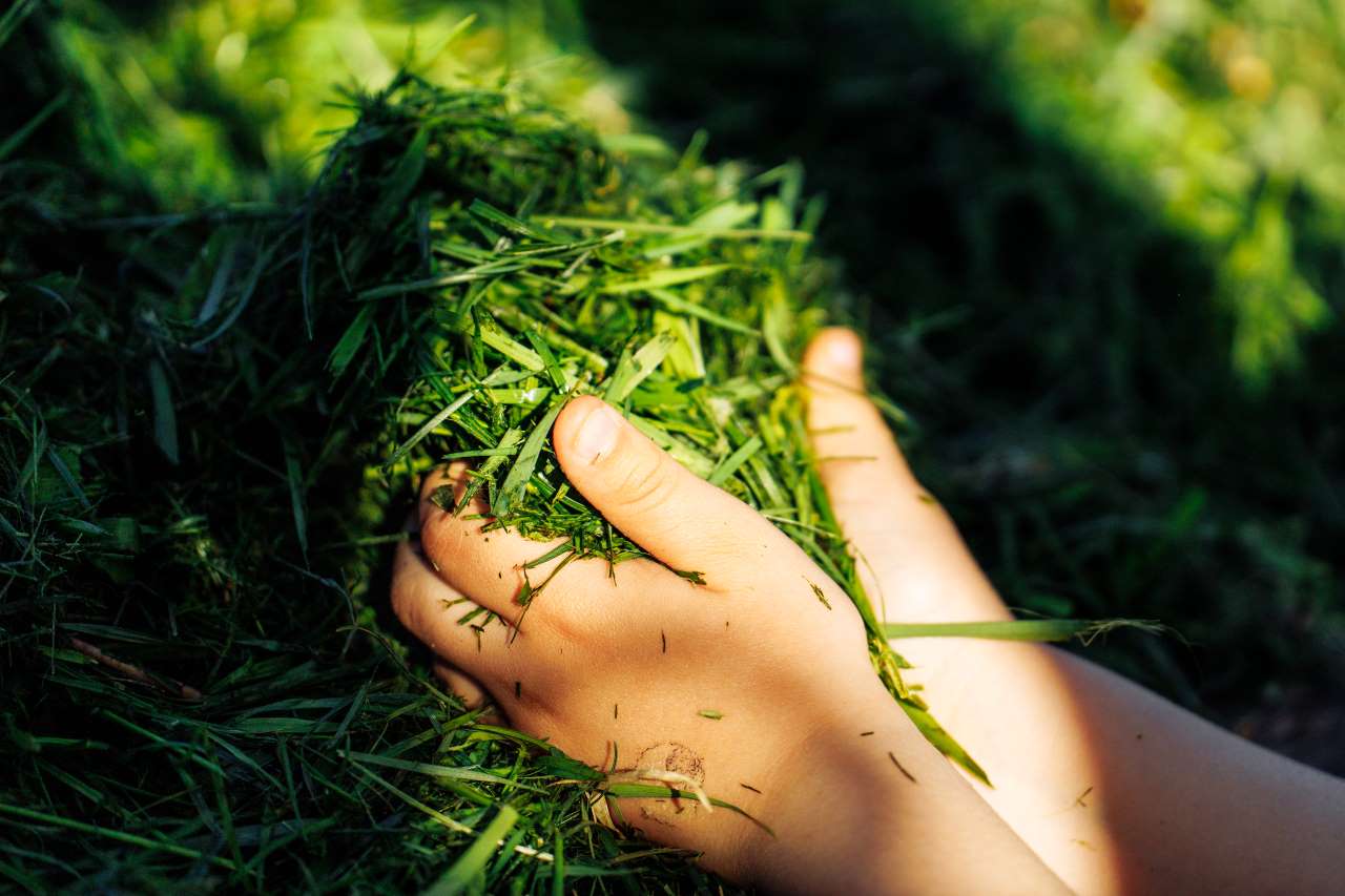 Mulczowanie trawy – co to znaczy i dlaczego jest ważne?